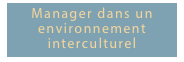 Manager dans un environnement interculturel